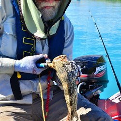 John de-hooking one of the fish I caught