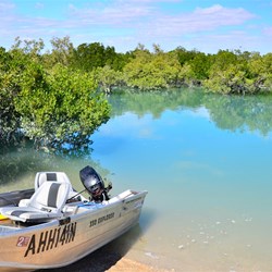 boat and creek