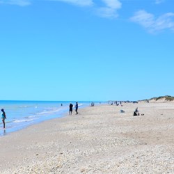 fishermen ever hopeful