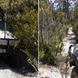 Borradaile Plain Track