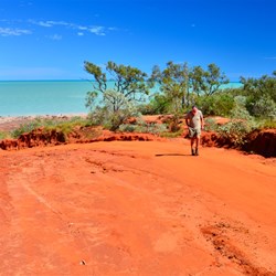 Boat launching access track near the Bird Observatory