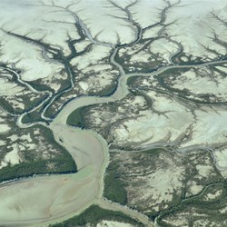 patterns in the landscape