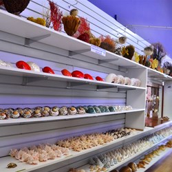 shell house in Broome