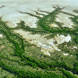 patterns in the landscape