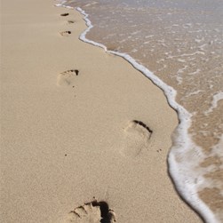 Our footprints