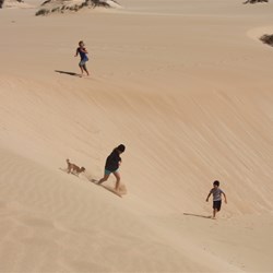Fun the dunes