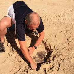 Digging for the bore