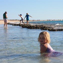 Chardae & the Walfords