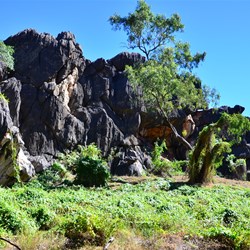 Geikie Gorge