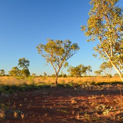 sunset at the camp ground