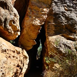 Walking into Windjana Gorge