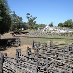 Shearing shed pens with pile of gidgea ash behind