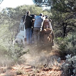 Not all drove in cars