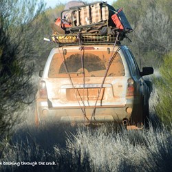 Wendy's extremely overloaded Ford Escape