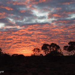 Another fantastic end to the day