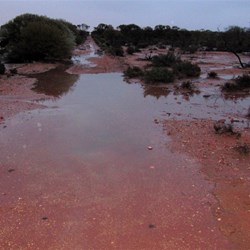 What was dry is now wet