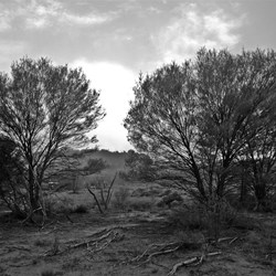 Hidden Secret Waterhole