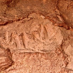 Emu print engravings