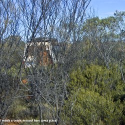 Thick mulga that we have to negotiate