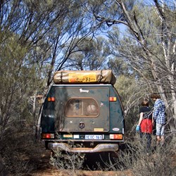 hand picking our path through the mulga thickets