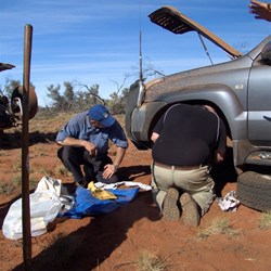 Bush mechanics at their best