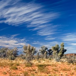 Beautiful day and beautiful skies