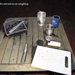 Ice over everything that was left out over night