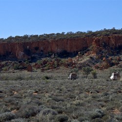 Dr Hicks Range