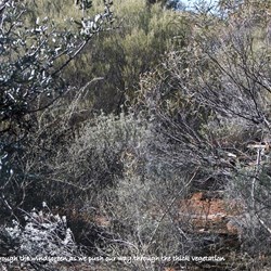 View through my windscreen