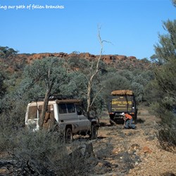 Hand clearing our track