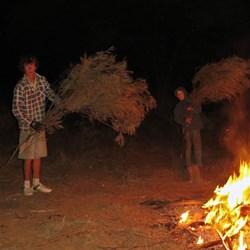 The boys stoking the fire with whoosh bush 
