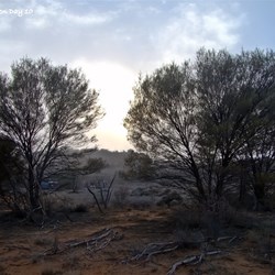 Mist roles in at dawn