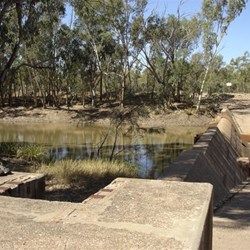 Lloyd Jones Weir on the Alice River