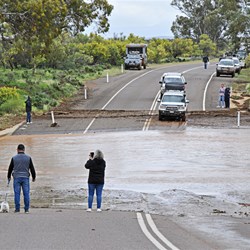 After the cattle truck still indecision