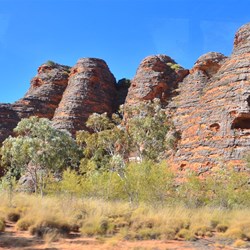 Bungles