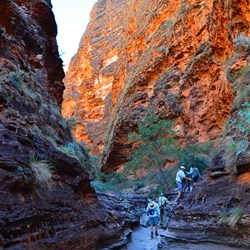 Cathedral Gorge