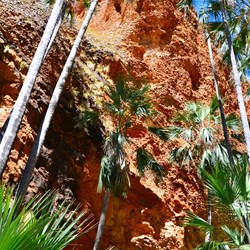 Echidna chasm