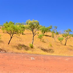 landscape near Wyndham