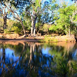reflections from the van awning