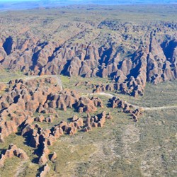beehive formations from the air