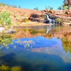 Pool at champagne springs