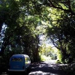 the typical country back road