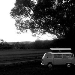 Reggie at our Mullum camp