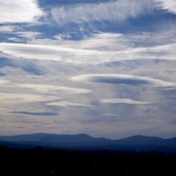 view to Nightcap NP from the top of the macadamia farm they live on
