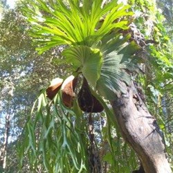 lots of these hanging around