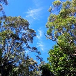 another perfect day in the Crystal Castle gardens