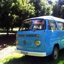Reggie on the maca farm