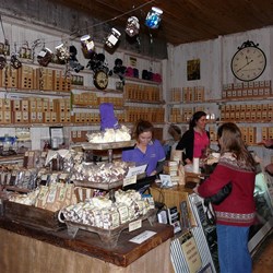 As the expression goes - 'Like a kid in a lolly shop'