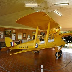 DH 82 Tiger Moth - Narrandra