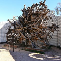 The Paringa Black Stump